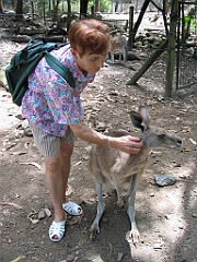 039 Cairns Tropical Zoo